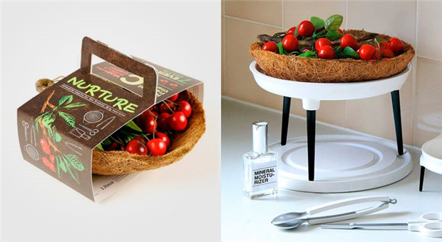 Камера Nurture