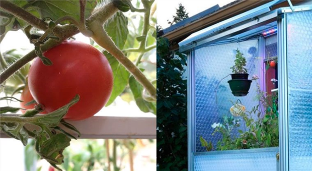 Мобильный садик на балконе «под ключ»