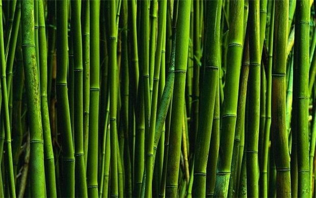 Fujisaki Electric Co