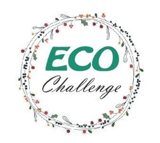 Зеленый онлайн марафон «Eco-challenge»